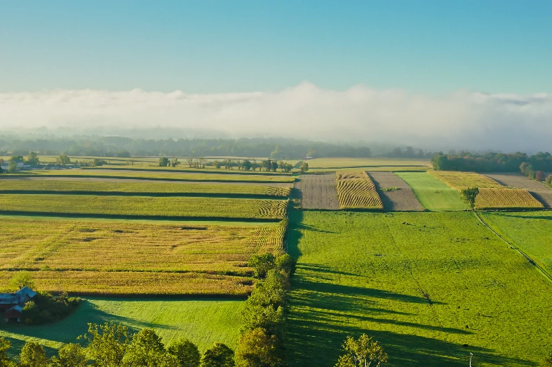 USDA Business Loans